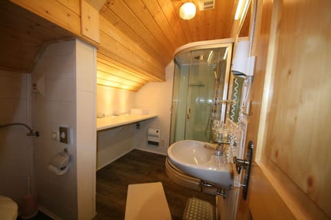 Apartment 2 | Bathroom | Shower, free toiletries, towels