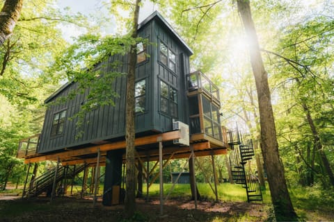 Treehouse 1