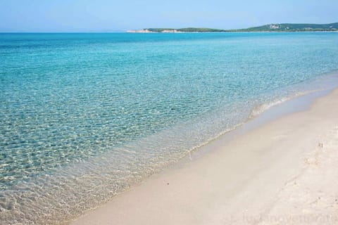 Beach umbrellas, beach towels