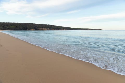 On the beach