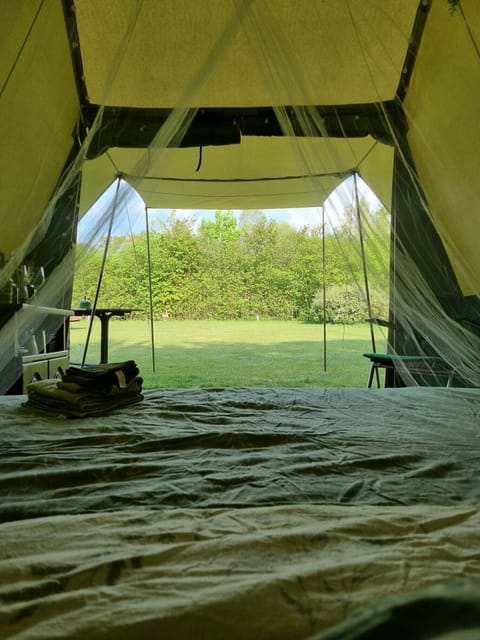 Camping Ont Moeten - Timeless - View