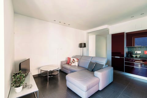 Apartment, Lake View | Living room | 30-inch TV with digital channels