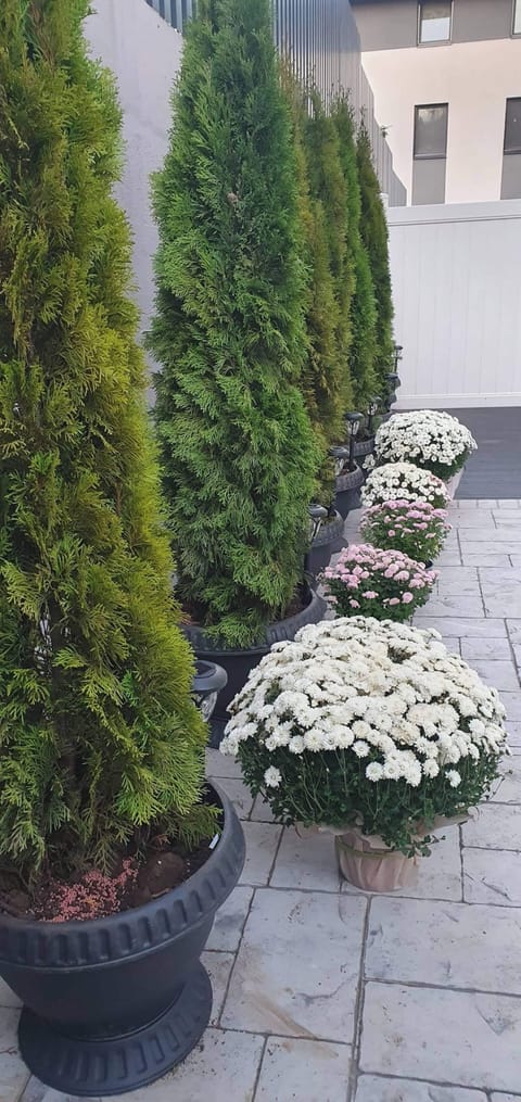 Apartment, 1 Bedroom, Balcony | Property grounds