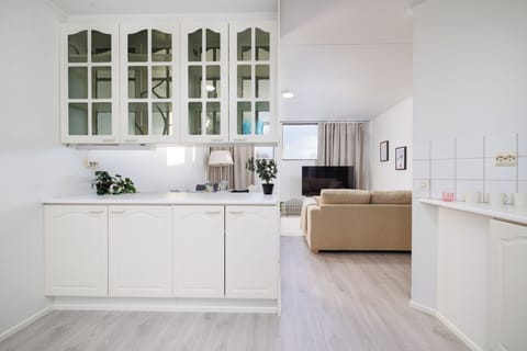 Basic Apartment | Private kitchen | Full-size fridge, microwave, oven, stovetop