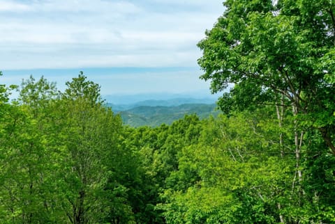 High on views, low on stress. Enjoy the calming presence of majestic peaks right from your window, deck, or patio—nature therapy included at no extra charge.