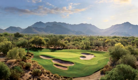 Enjoy golf nearby at the legendary Grayhawk Golf Club. One of many amazing golf courses a short drive from the home!