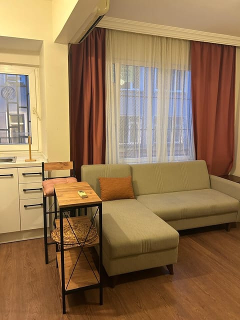 Basic Apartment | Living area
