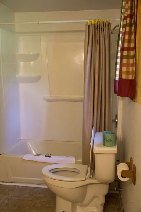 Combined shower/tub, free toiletries, towels