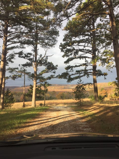 View from the home down the driveway to the nearby road.