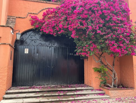 Front gate at street