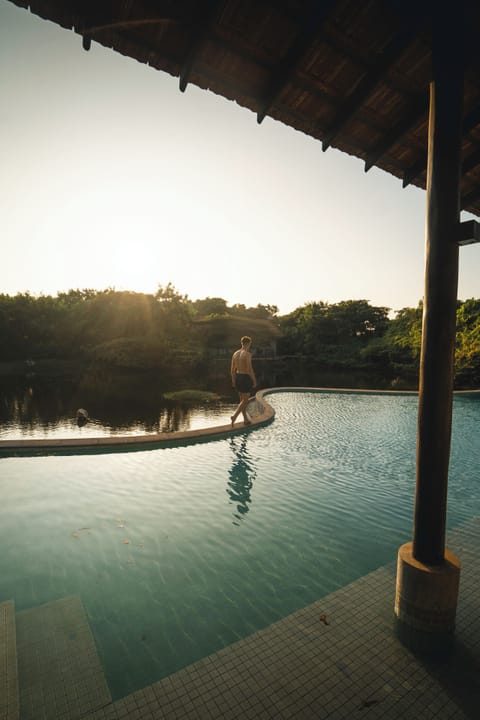 Outdoor pool, pool umbrellas, sun loungers