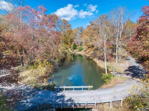 Little River - Its crystal-clear waters carve through ancient sandstone canyons, creating peaceful swimming holes, cascading waterfalls, and scenic overlooks that make Mentone a true hidden gem of Alabama.