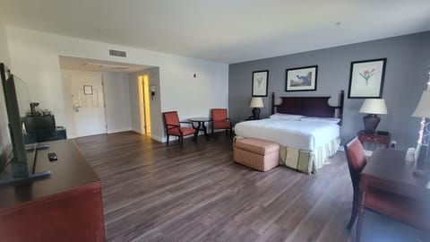 Superior Single Room, Garden View | Desk, blackout drapes, iron/ironing board, free WiFi