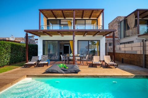 Pristine pool and property