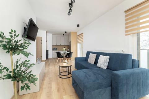 A living room with a blue sofa facing a TV, adorned with a small plant and minimalist furniture. The space is well-lit by natural light.