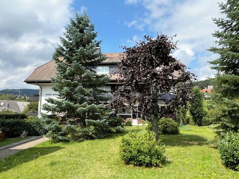 Shrub, Garden, Woody Plant, Landscaping, Larch, Lawn, Yard, Evergreen