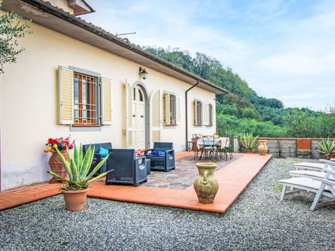 Flowerpot, House, Home, Houseplant, Outdoor Furniture, Yard, Balcony, Eco Hotel, Hacienda, Courtyard