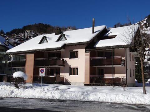 Residential Area, Home, Winter, Snow, Freezing, Siding, Daylighting, Mountain Village, Balcony