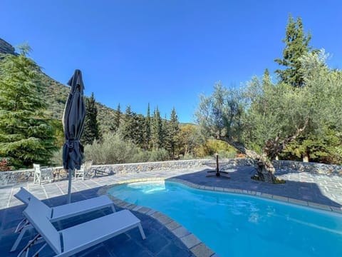 Sunlit poolside deck with forest vistas—your perfect morning coffee spot.