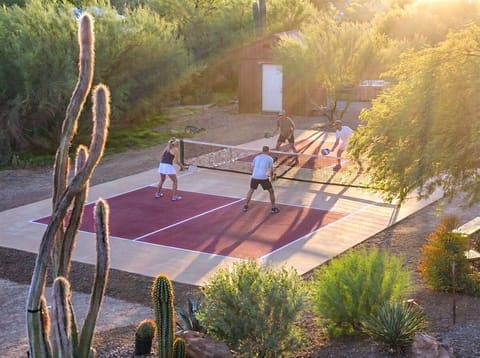 Sport court