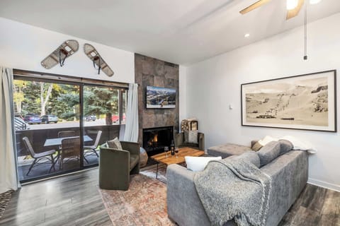 Living area with patio access, flat-screen TV, and sleeper sofa (the wood-burning fireplace is not an advertised amenity)