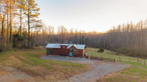 Welcome to Meadow View! A mini farmstead in the foothills of the Carolinas!