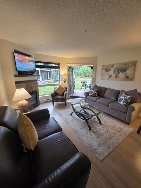 Streaming TV. Natural Gas fireplace. Double Glass doors.  Queen sofa pull-out.