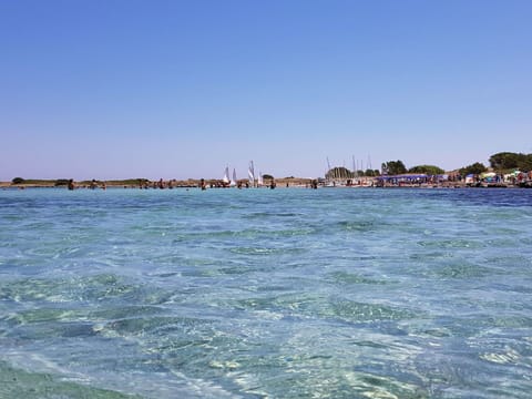 Sky, Body Of Water, Summer, Sea, Recreation, Beach, Coastal And Oceanic Landforms, Leisure, Wind Wave