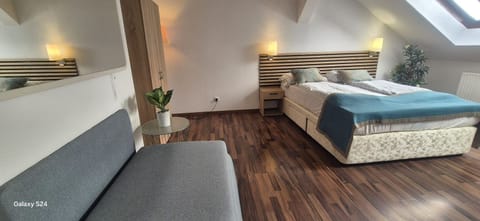 Basic Apartment | Iron/ironing board (on request), WiFi (free)