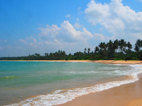On the beach