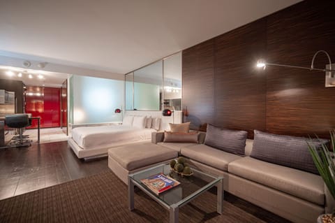 Bedroom and Living Room with a Sofa Bed