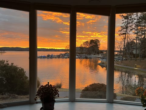 Amazing Lake Views