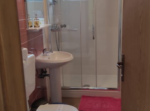 Apartment (Three Bedroom Apartment with Terrace ) | Bathroom | Towels