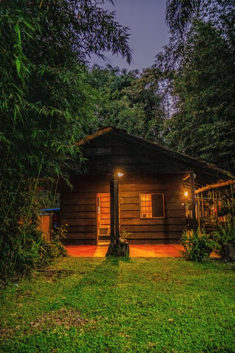 Classic Cabin, Courtyard View | Free WiFi