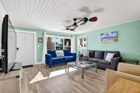 Living room has large-screen TV with Roku. Large sofa has queen bed. 