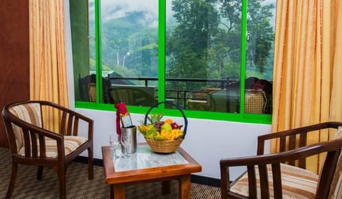 Deluxe Double or Twin Room, Balcony, Mountain View | Living area