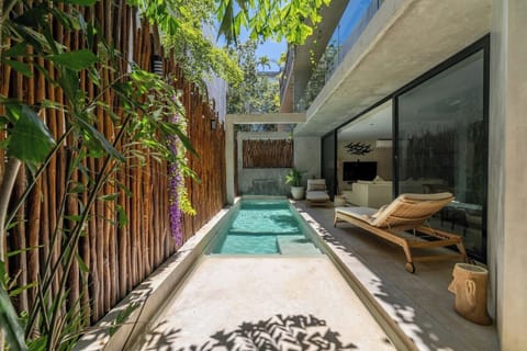 Private Terrace with Plunge Pool