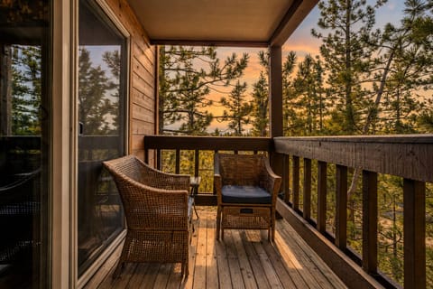 Calming view of pine trees.