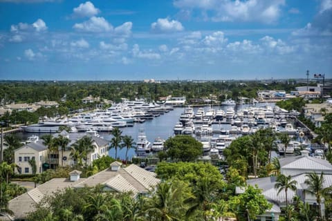 View of a marina filled with many white boats and yachts
