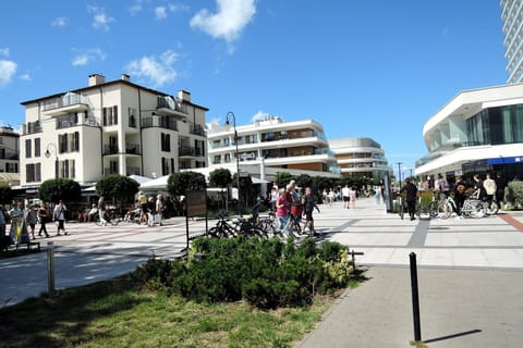 Immediate Surroundings [summer] (<1 km)