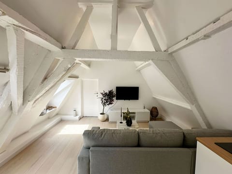 Basic Apartment | Living room