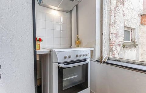 Basic Apartment | Private kitchen | Fridge, microwave, oven, stovetop