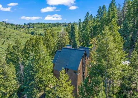 Exceptional mountain chalet nestled into the Alpine forest. Many trails. 