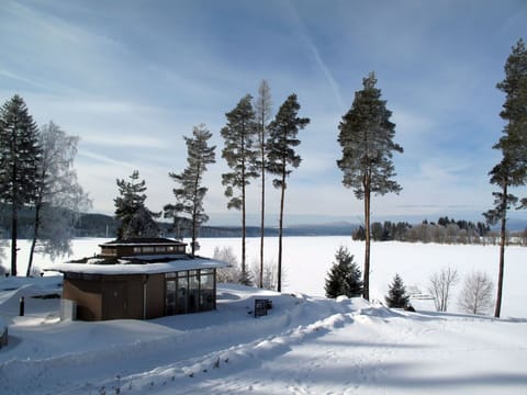 Tree, Winter, Branch, Snow, Freezing, Hill Station, Larch, Evergreen, Log Cabin