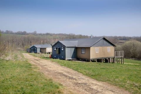 Woodpecker in front and Kingfisher at the end, near the lake