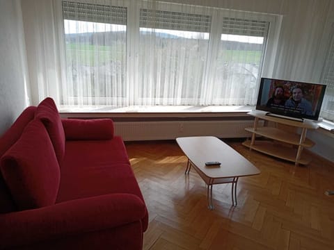 Superior Apartment | Living area | 32-inch flat-screen TV with satellite channels