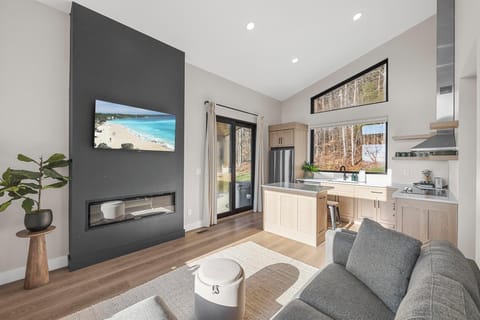 Open Kitchen and Living