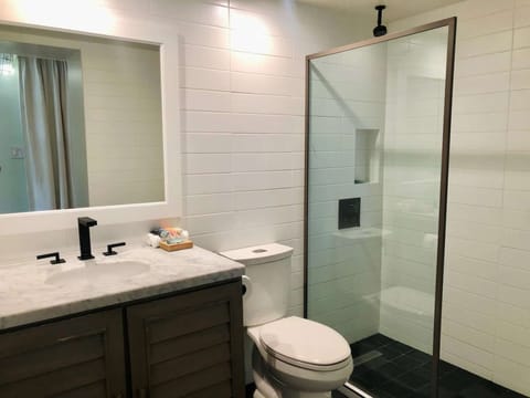 Fresh white bathroom with walk-in shower and marble counter