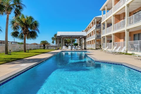 Dauphin Luv B Large Communal Pool