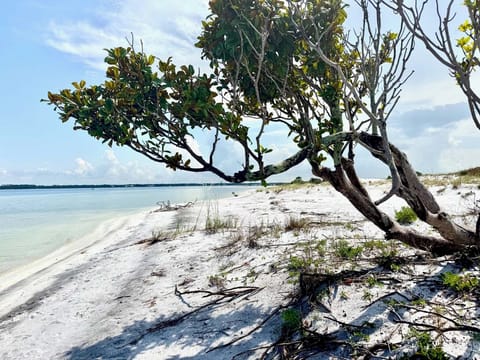 Beautiful white sand beach
